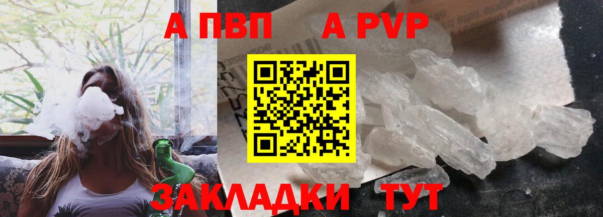 A PVP СК КРИС  Альфа ПВП СК КРИС  Вход с VPN  A-PVP  Назрань 