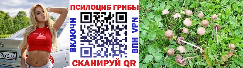Галлюциногенные грибы MAGIC MUSHROOMS  наркошоп  Назрань 