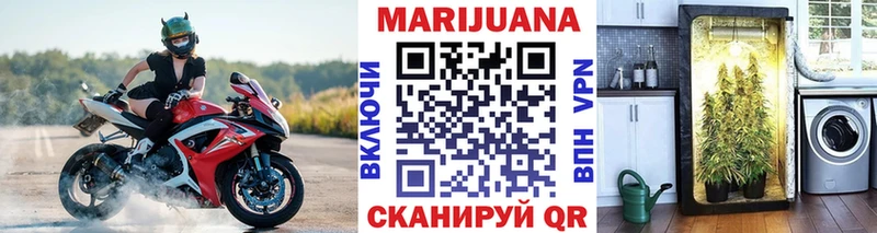 Канабис марихуана  Назрань 